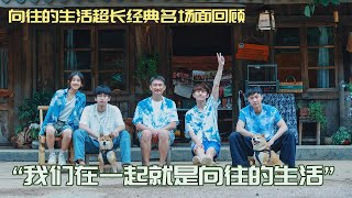 向往的生活历季名场面超长回顾！何炅“邪恶栀子花”经典再现，蘑菇屋即将重新焕发光彩！#向往的生活 #何炅 #黄磊 #张艺兴 #张子枫 #彭昱畅
