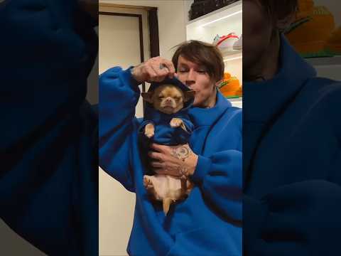 NILETTO и его маленький друг танцуют под ХУДИ #музыка #music #худи #нилетто #niletto #shorts