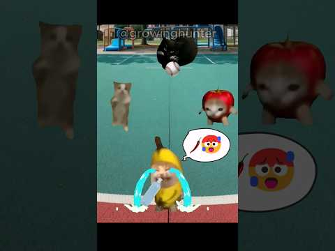 Banana Cat in School with Happy Cat (Part9) #catmemes #happycats #elgato