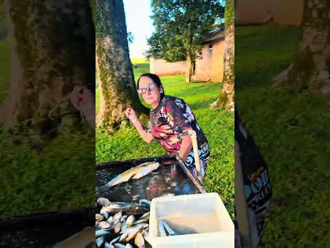 Tá feita a confusão 😂😂😂 #comedia #piadasrapidas #peixe #pescado #rir