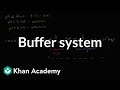 Understanding Blood pH and Buffer Systems