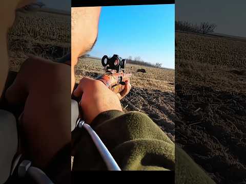 фотография охоты на дикого кабана #chase #hunting #challenge#wildboar#chasse #hunting #chase