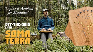 "Lupine & Ambient for Mosquitos". Playing SOMA TERRA synth Off-the-Grid.