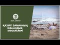 Екологични предизвикателства и решения