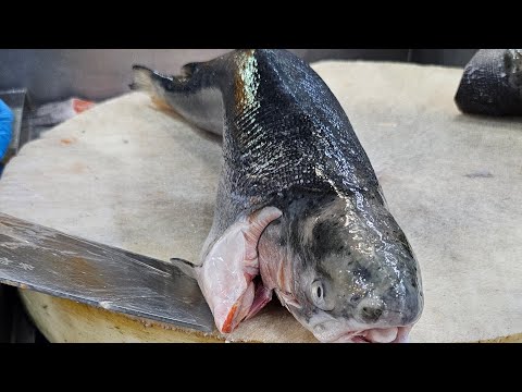 Professional Huge Giant Whole Salmon Fish Cutting Skills #fishing #fish_cutting
