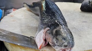 Professional Huge Giant Whole Salmon Fish Cutting Skills #fishing #fish_cutting
