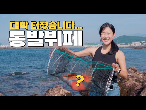 제주도에서 3박 4일간 매일 통발 놨더니 해산물 파티가 열린 날🎉