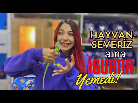 İGUANA İLE İMTİHANIM ! | Pet Market VLOG