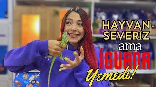 İGUANA İLE İMTİHANIM ! | Pet Market VLOG