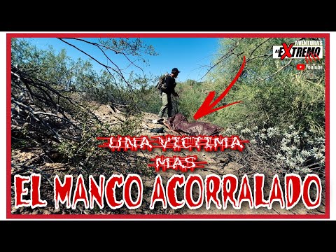 EL MANCO TRAIDOR DE LOS MIGRANTES EPISODIO 38