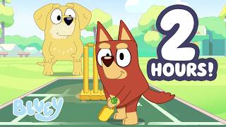 Playing Cricket with Rusty!💙🥎 ﻿| Outdoor Fun with Bluey🌳 | Bluey