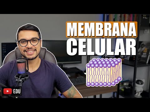 MEMBRANA CELULAR [Membranas 04]