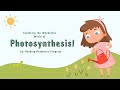 Photosynthesis and Plant Functions