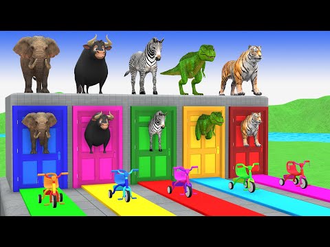 Long Slide Game With Cow Elephant Gorilla Hippopotamus Tiger 3d Animal Game Funny 3d Animals