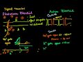 Neuronal Action Potentials and Ion Channels