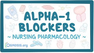 Alpha-1 adrenergic blockers: Nursing Pharmacology