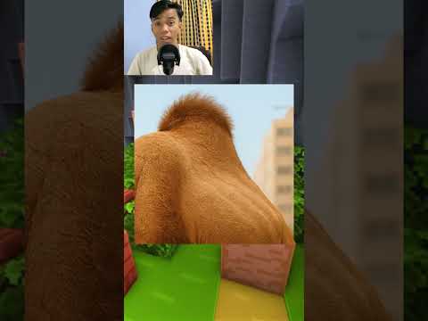 Tebak Anomali Tercepat Part 11