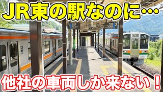 JR東の路線なのに、他社の車両しか来ない路線に乗ってみた。