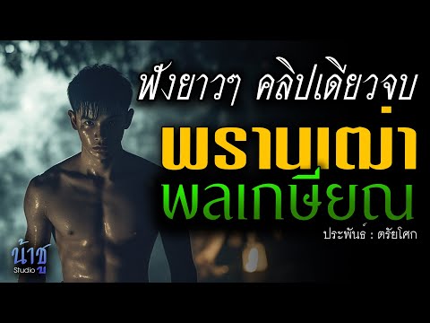 พรานเฒ่าพลเกษียณ! ฟังยาวๆ คลิปเดียวจบ | นิยายเสียง🎙️น้าชู