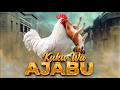 KUKU WA AJABU 55