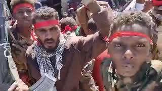 الله اكبر تحرير جميع الاسرى بالمصفاة - ومنهم ناس اكثر من عام - حمدلله على السلامةجيش واحد شعب واحد