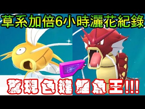 【Pokémon Go】驚現色違鯉魚王!!草系加倍6小時灑花實測紀錄 - YouTube