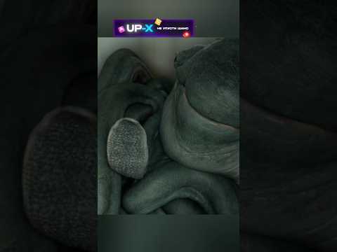 Хотят уничтожить редкое уникальное существо #сериал #фильмы #shorts