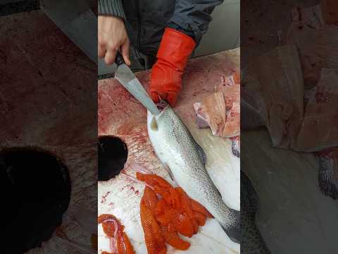 How to Fillet Trout for Pan-Frying — Step-by-Step