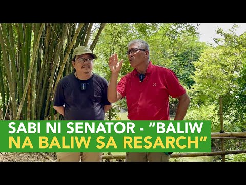 Sya pala yung Sinabihan ni Senator na "Baliw na Baliw sa Research" + Fear - Wag Gawin sa Workers!
