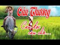 Hình ảnh và kỷ niệm quê hương