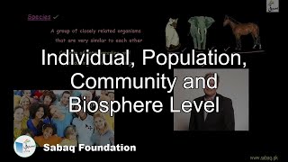 Individual, Population, Community and Biosphere Level