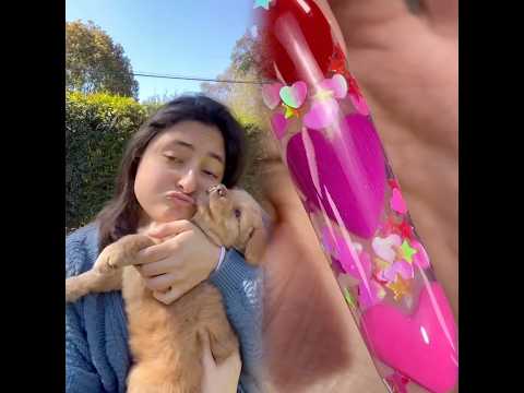 AsiSoy 👶🏽🐶🤣 Ustedes? 👀 #comedia #humor #fyp #comedy #mascotas #animales