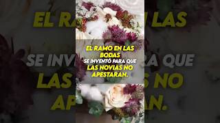 💐EL RAMO en las BODAS se inventó para que las NOVIAS NO APESTARAN🤢💩 #datoscuriosos #bodas