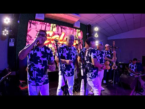 ♫ Niña y señora | Internacional sabor | Salsa Night