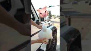 WE STUFFED A PIGGY BANK WITH CASH AND GAVE IT AWAY #PiggyBank #LoganPaul