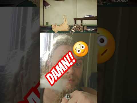 CatDog Parody Reaction #cartoon #animation #dog #funny #cat #comedy #duet #reaction