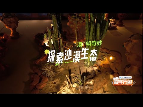 探索沙漠生态 - YouTube