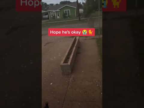 Hail hit our house and car #TexasWeather #Hailstorm #ViralVideo #SevereStorm #BreakingNews #tiktok