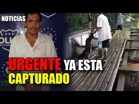 🔴 MALTRATADOR ya ESTA CAPTURADO |  SE DESATAN DOS polémicas