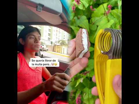 De queria librar de la multa pero …🤡🤣
