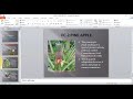 Plant Biology Concepts and Processes