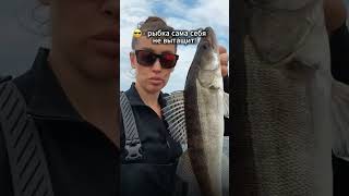 👆 Фулл тут! Папина гордость #fishing #рыбалка #прикол