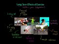 Exercise Physiology Concepts Assessment