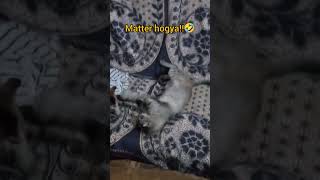 WWE fightt🤣🫠