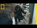 Antiquities and Their Journey