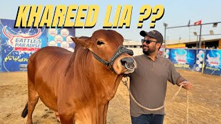 Khareed Liya? | Mandi 2025 | Faisal Iqbal