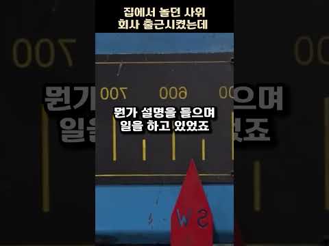 집에서 놀던 사위 월급550만원 준다고 출근하라고 했더니 뭔가 이상합니다