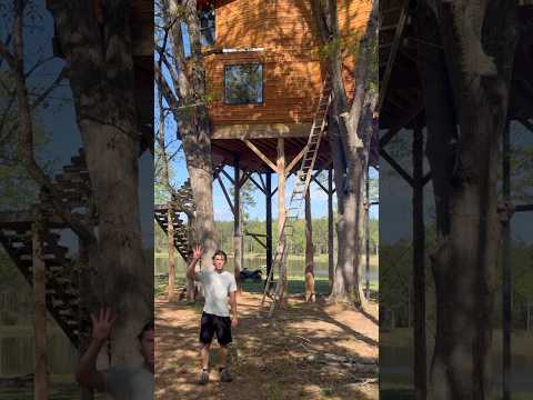 You're TRESPASSING - Treehouse Builder vs Code Enforcement