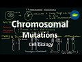 Exploring Chromosomal Mutations and Their Impact