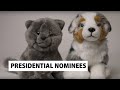 Electoral College and Voting Systems